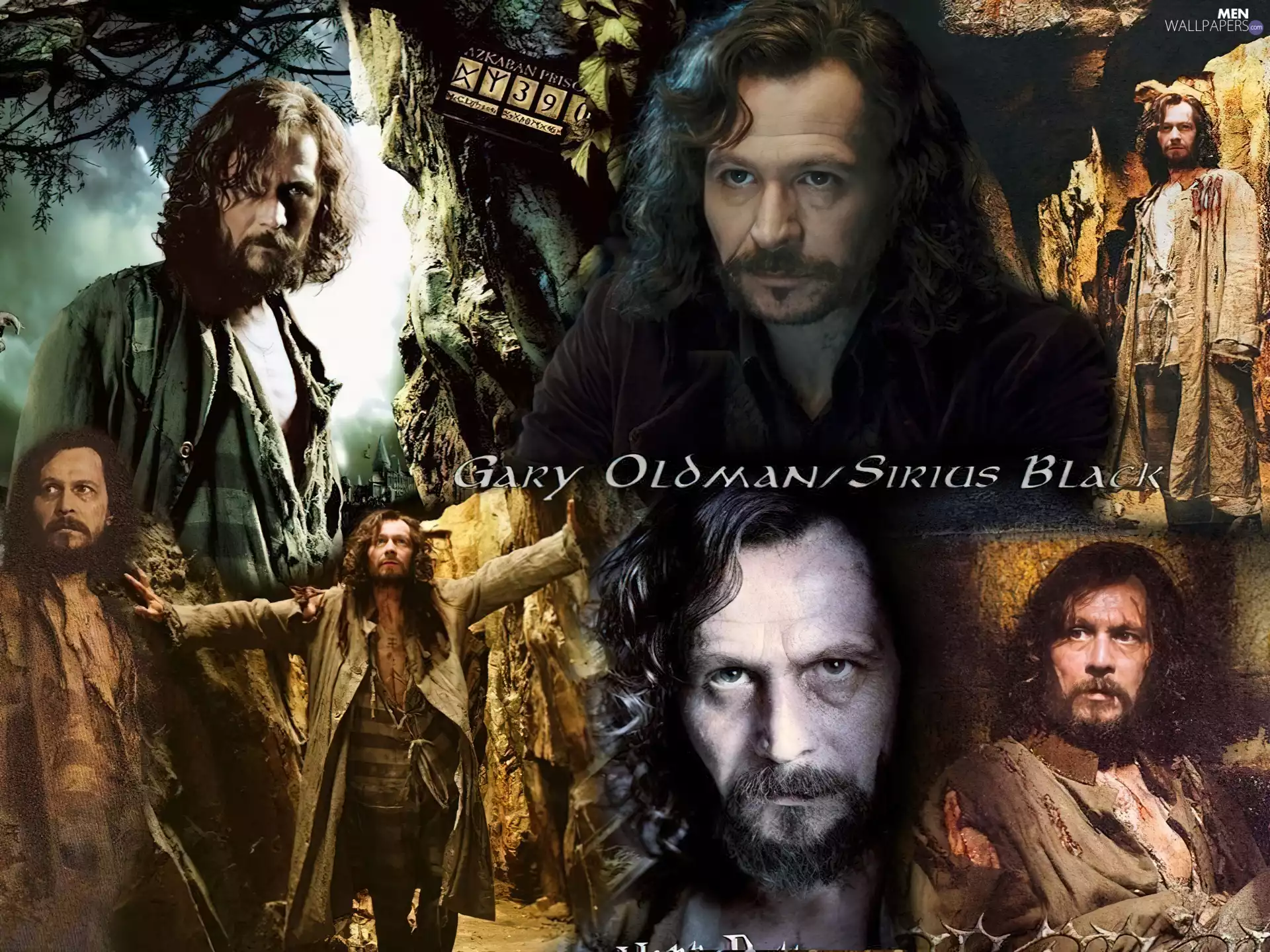 Blue eyes, Gary Oldman, Curly hair