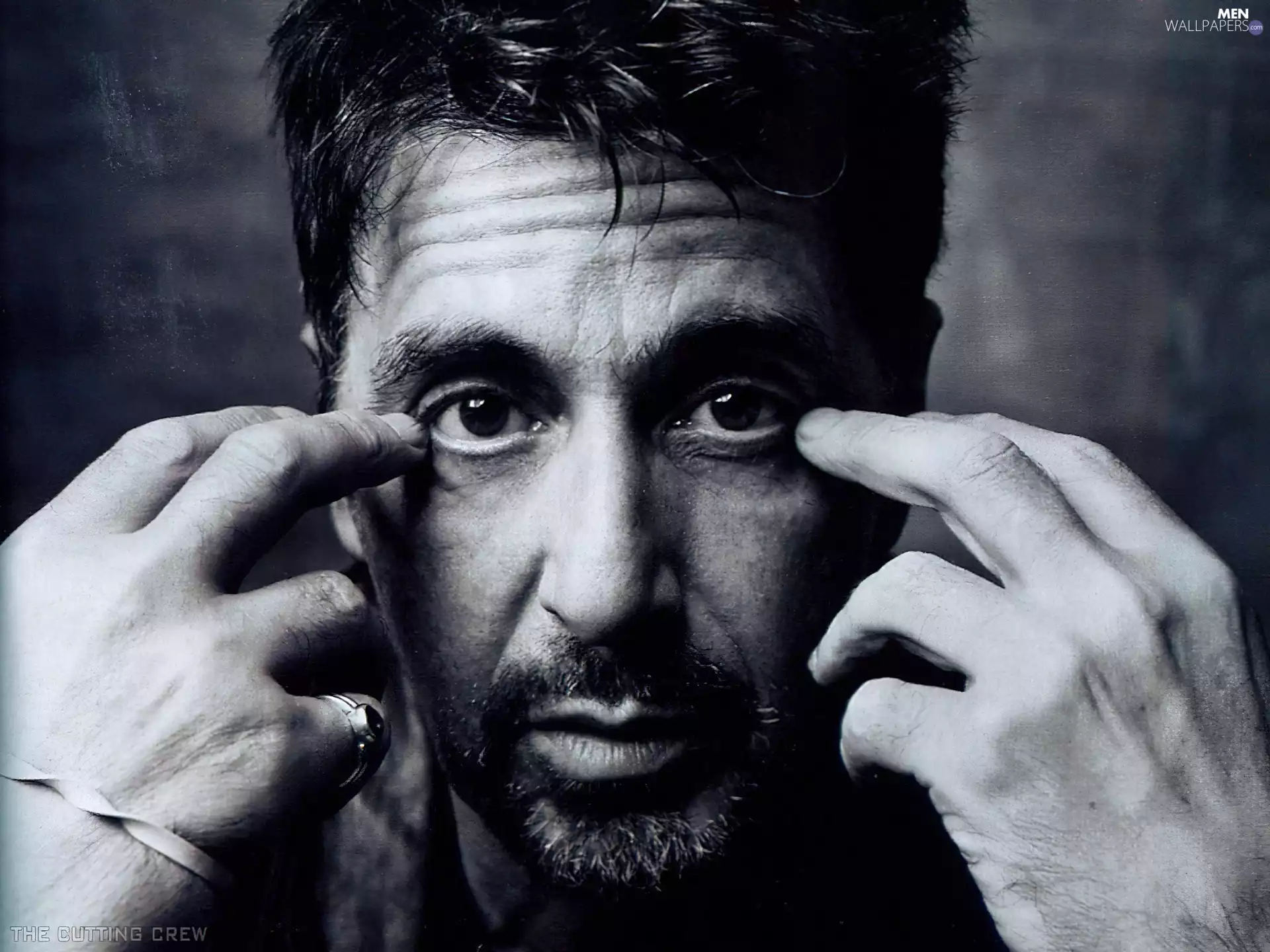 Al Pacino, signet, actor, hands