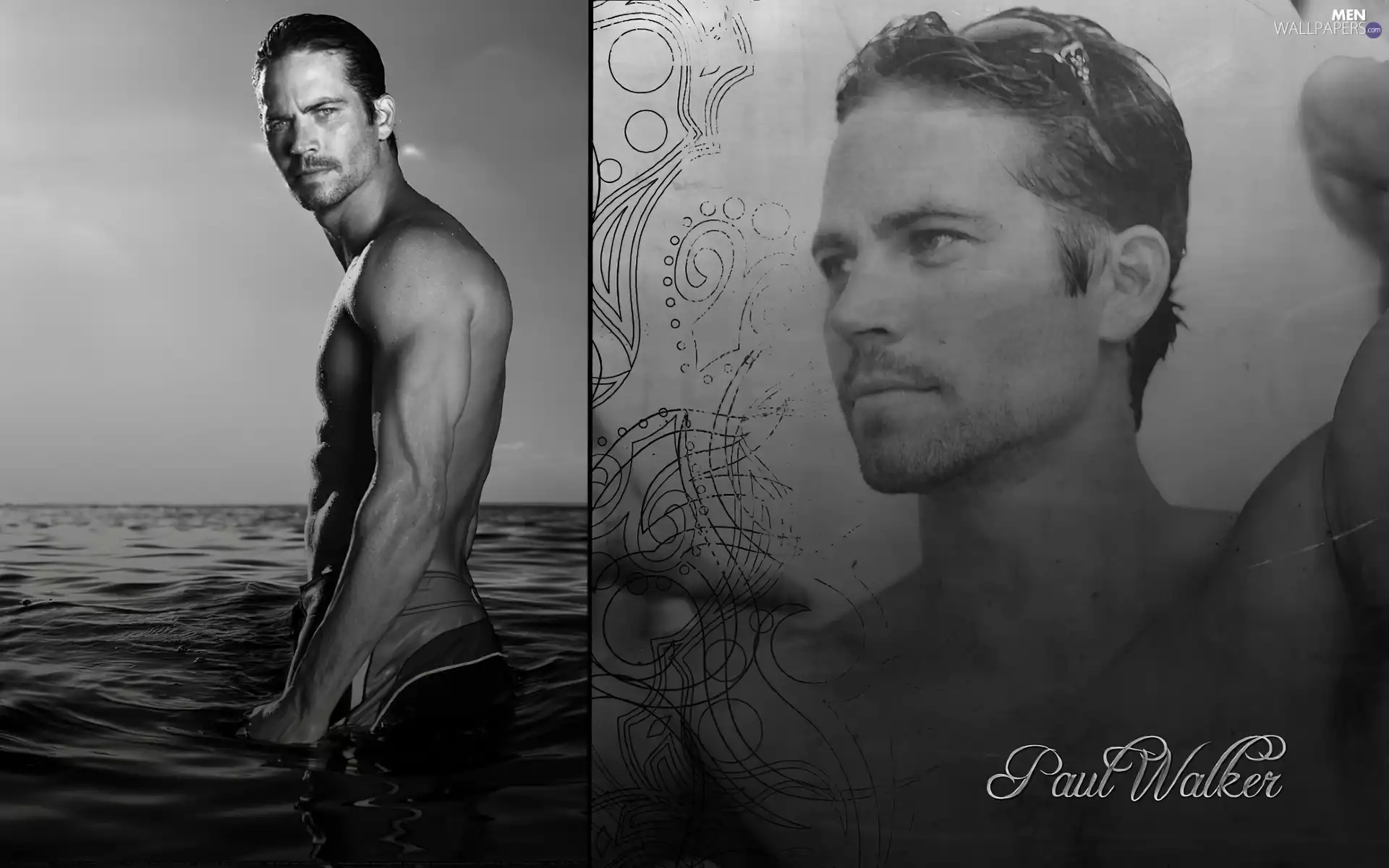 Paul Walker, picture