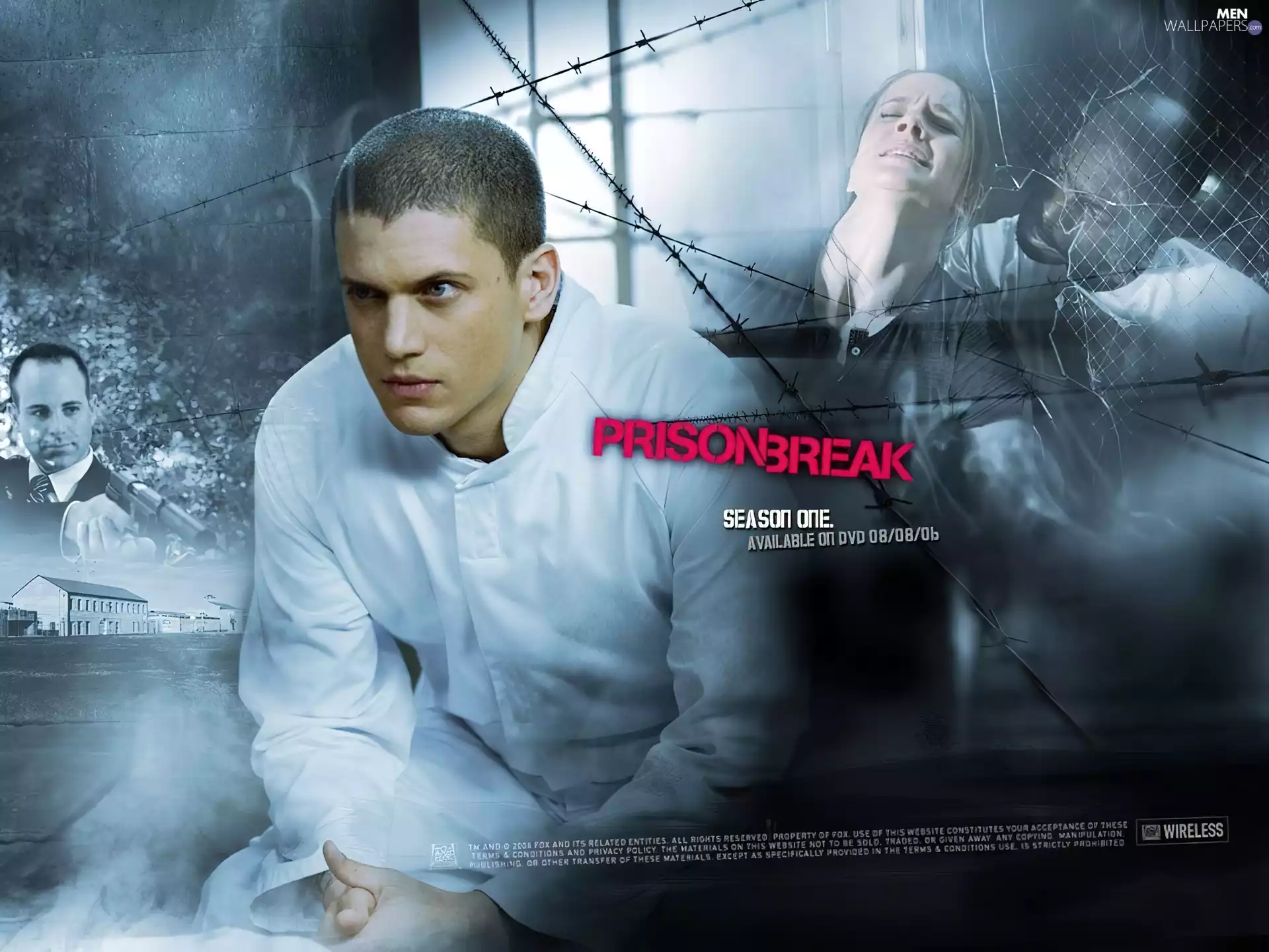Sarah Wayne Callies, Prison Break, prickly, Wentworth Miller, Prison Break, Paul Adelstein, wire