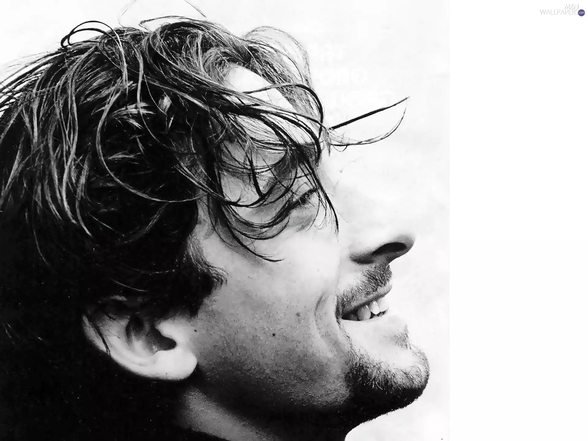 face, Adrien Brody, profile