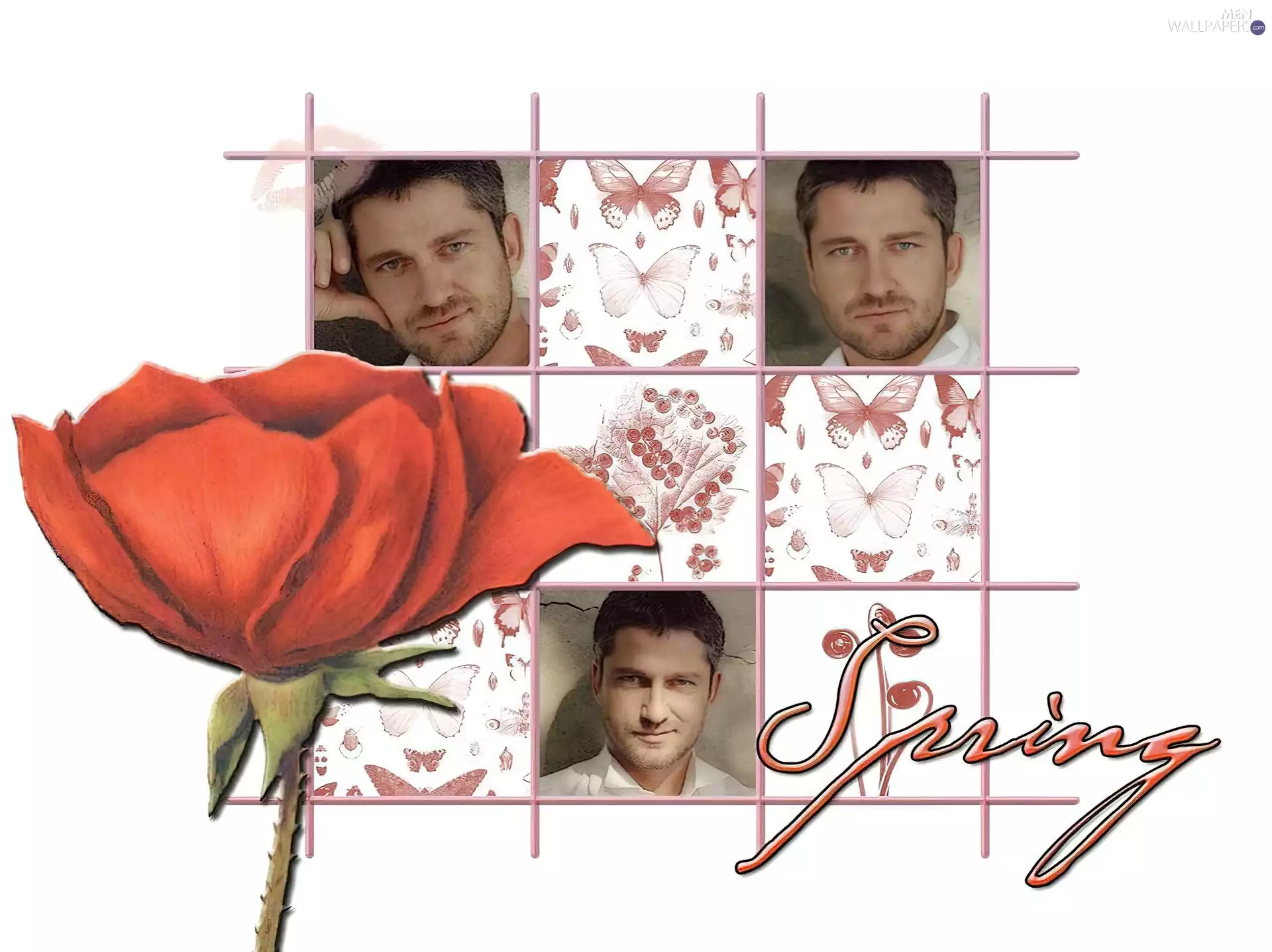 Gerard Butler, butterfly, red weed, Spring