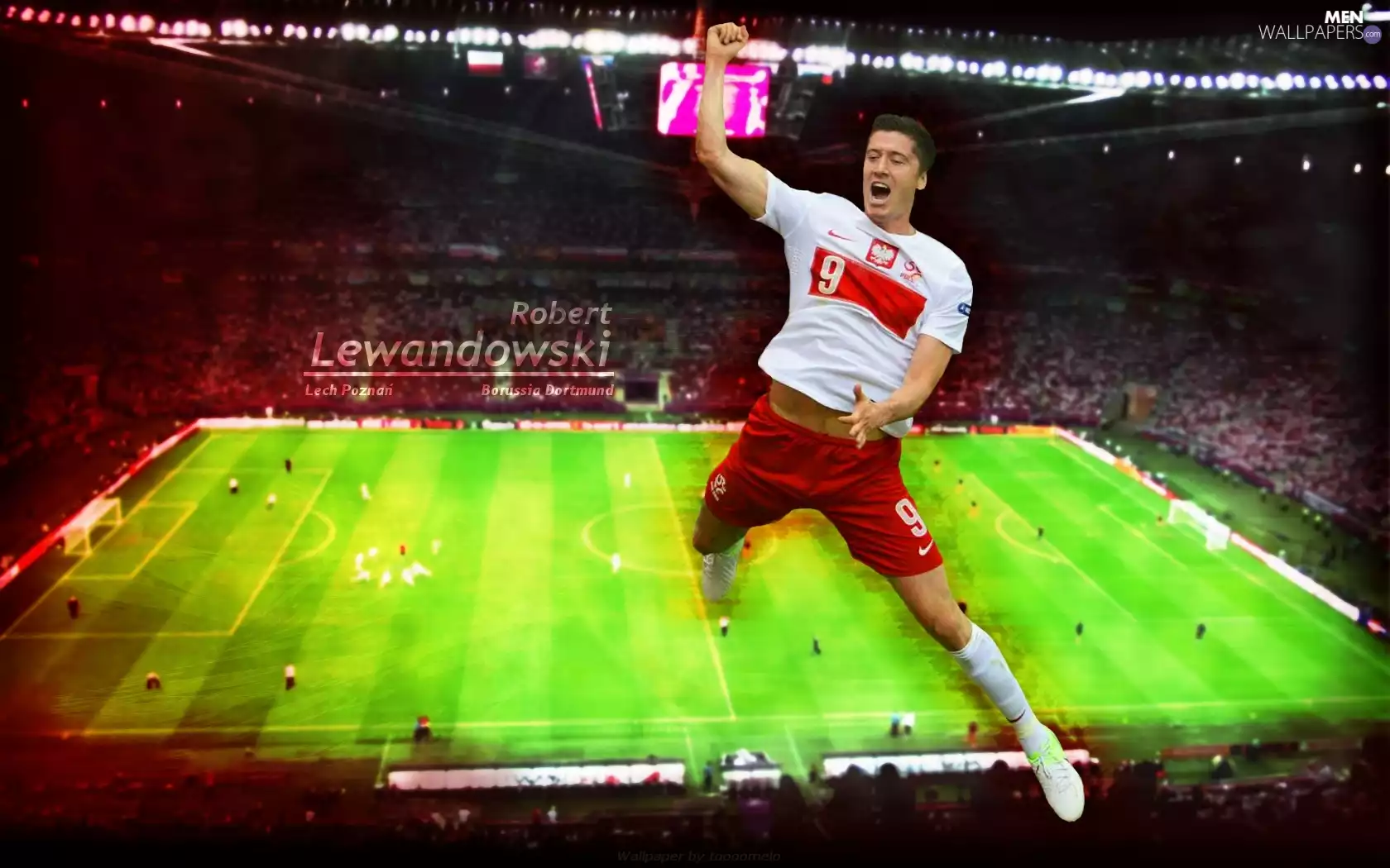 Stadium, Robert Lewandowski, Playing Field