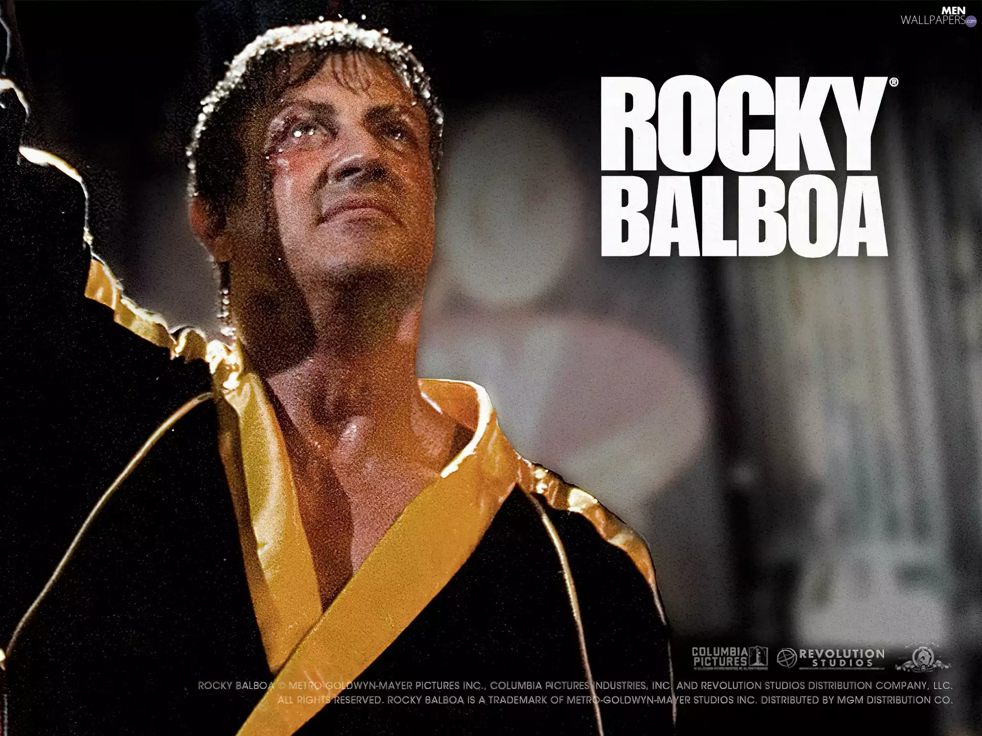 bathrobe, Rocky Balboa, Sylvester Stallone