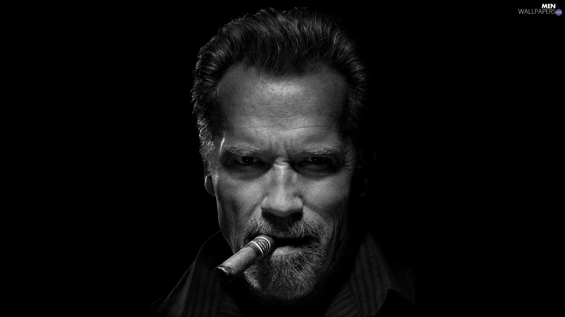 a man, Arnold Schwarzenegger, cigar, actor