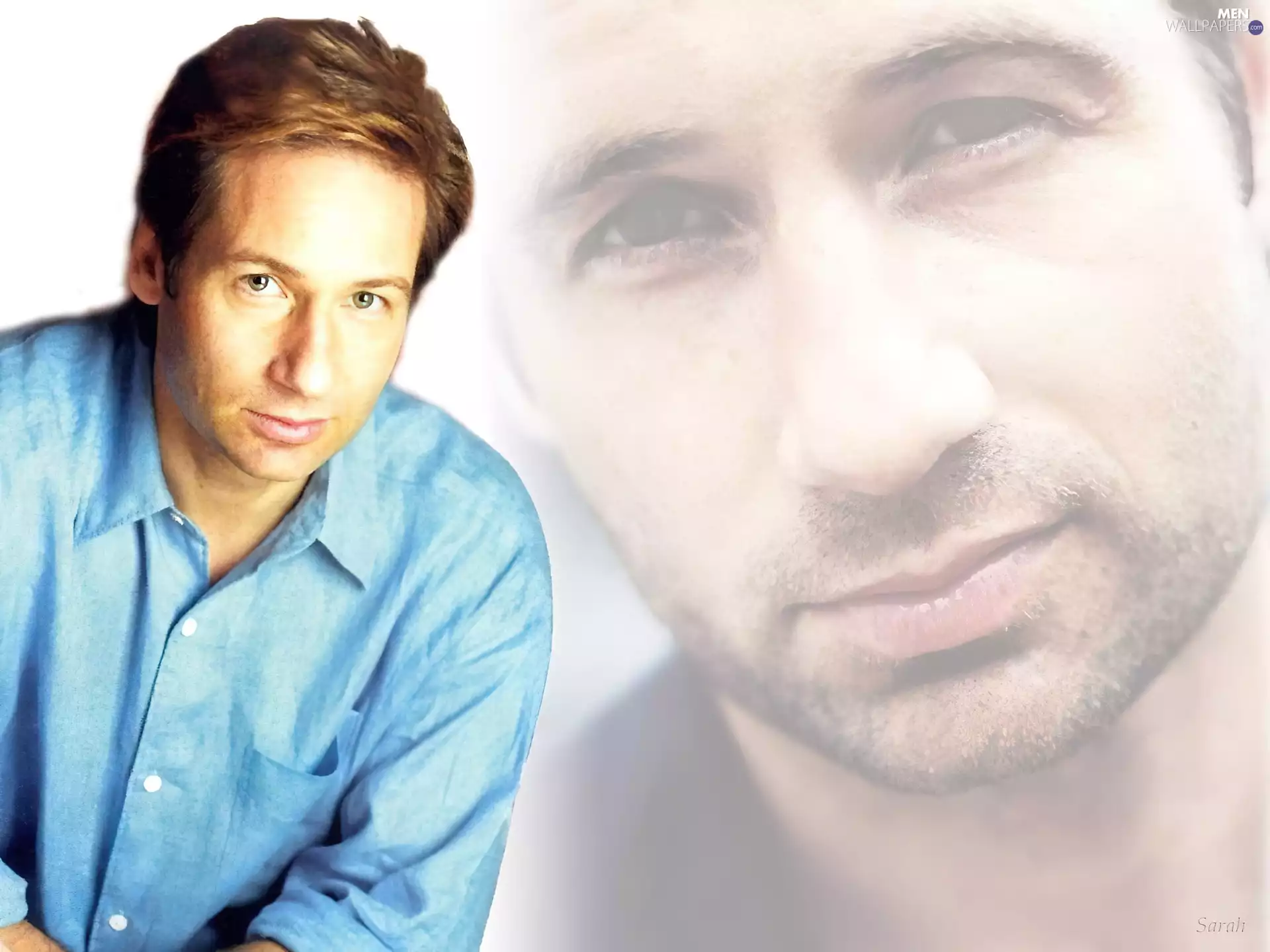 David Duchovny, blue shirt