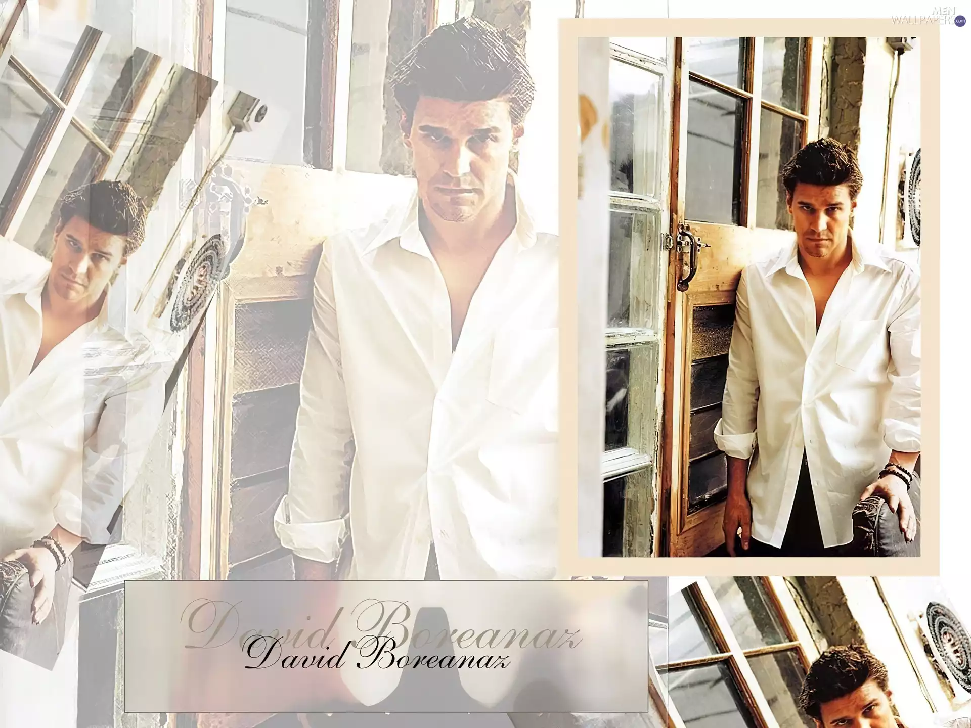 David Boreanaz, white shirt