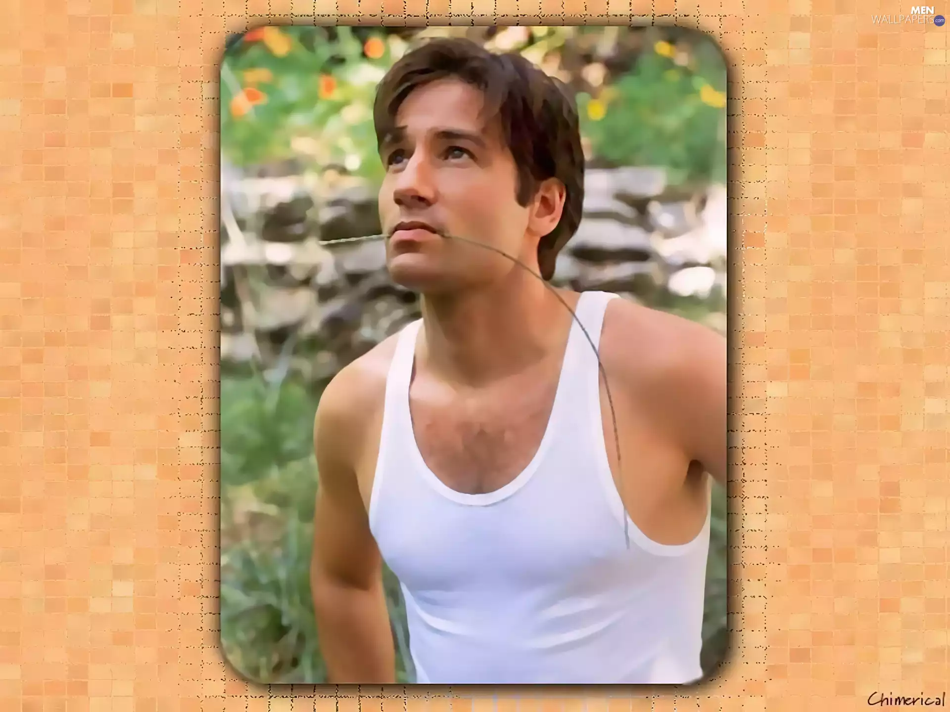 David Duchovny, White shirt
