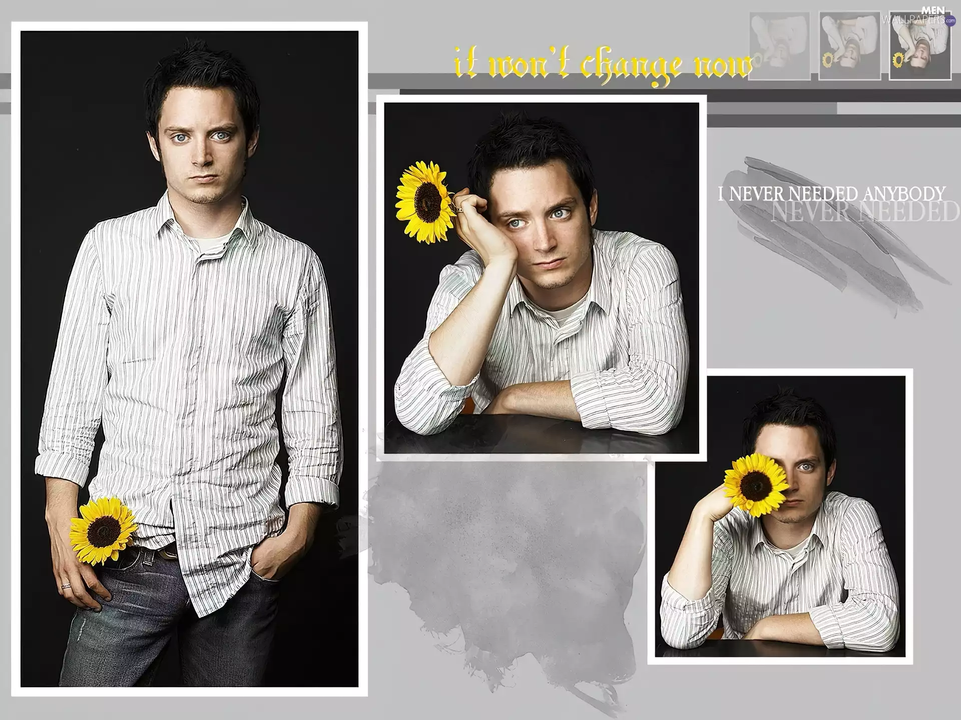 Sunflower, Elijah Wood, shirt