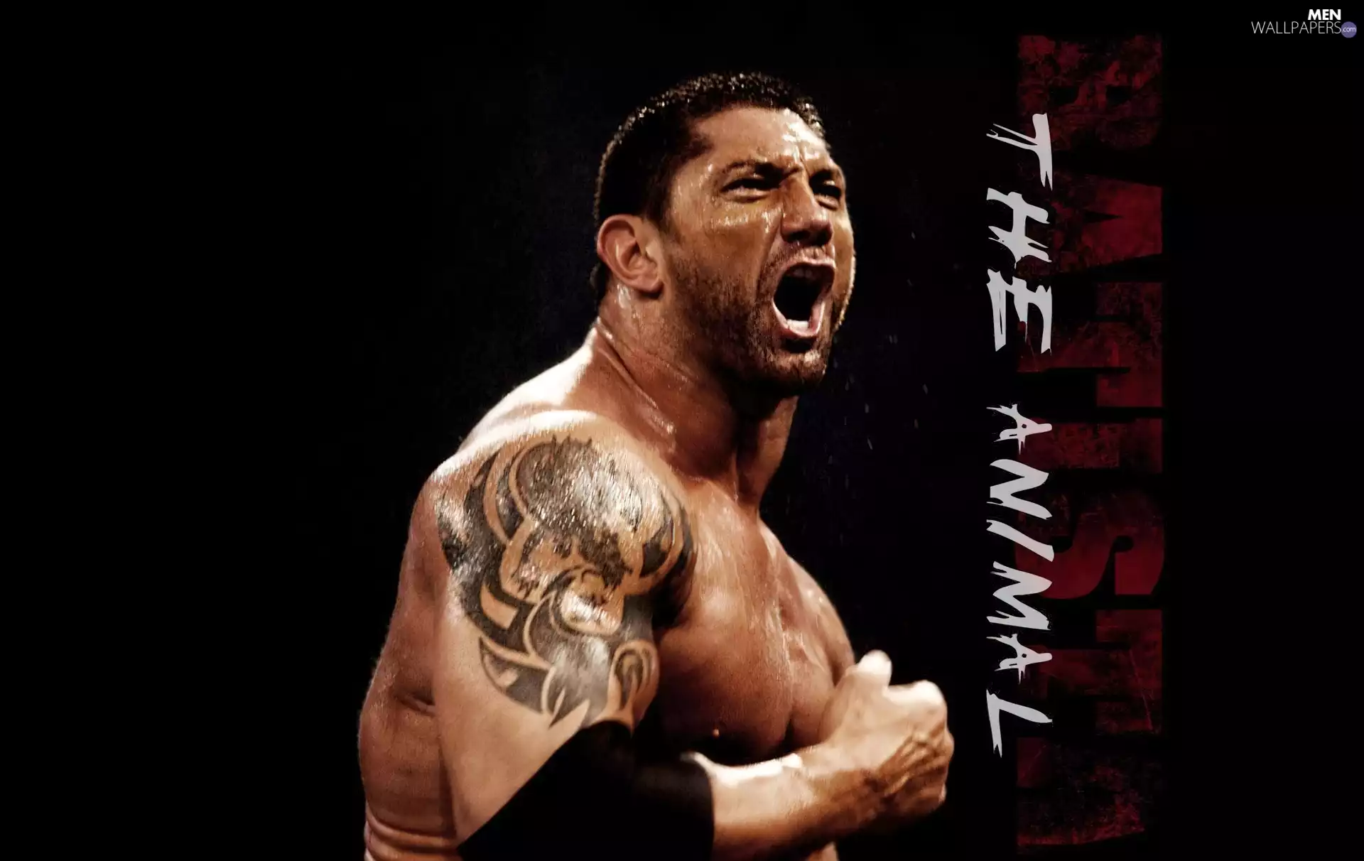 actor, Wrestler, Batista, shout, Dave Bautista