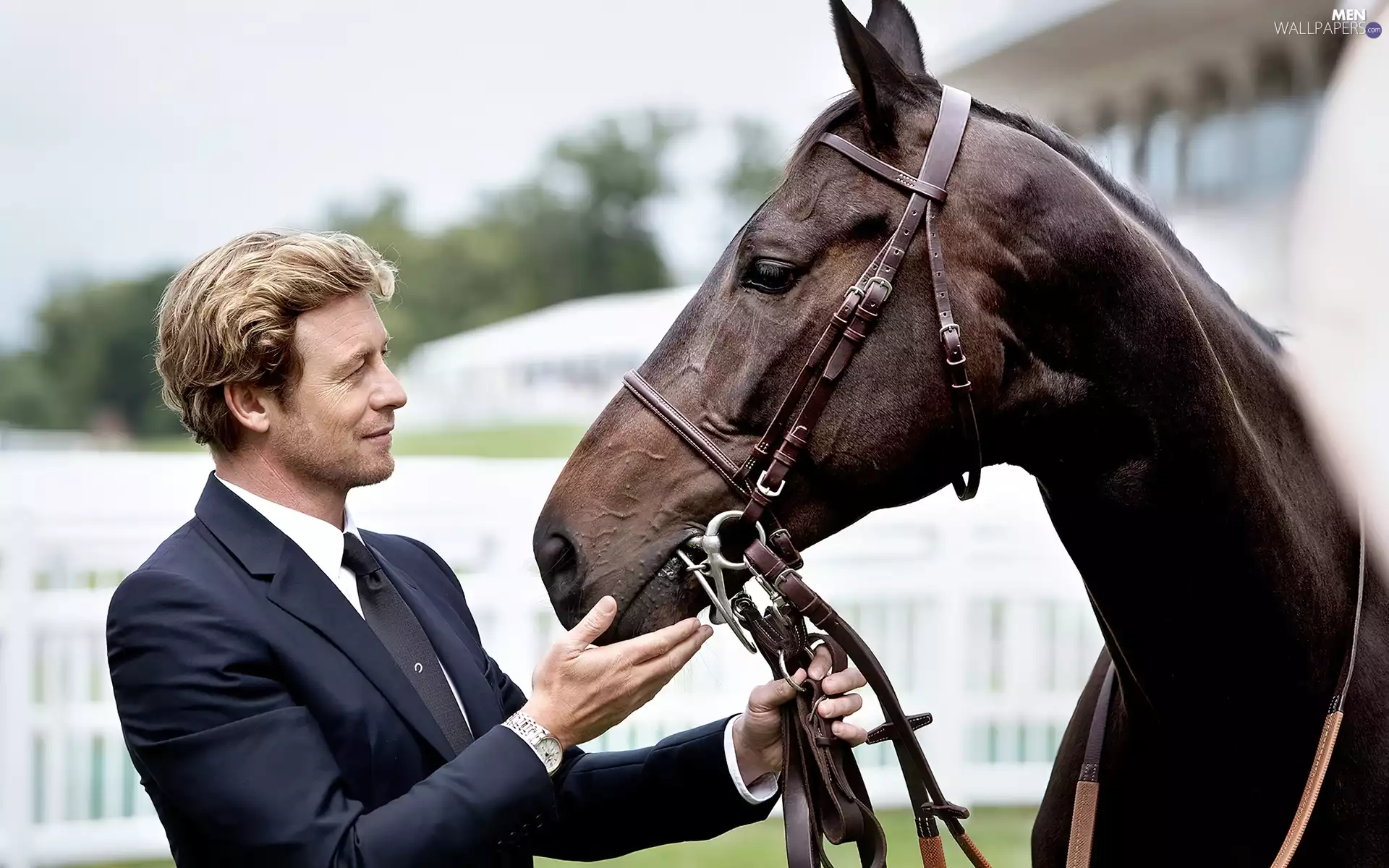 Simon Baker, Horse