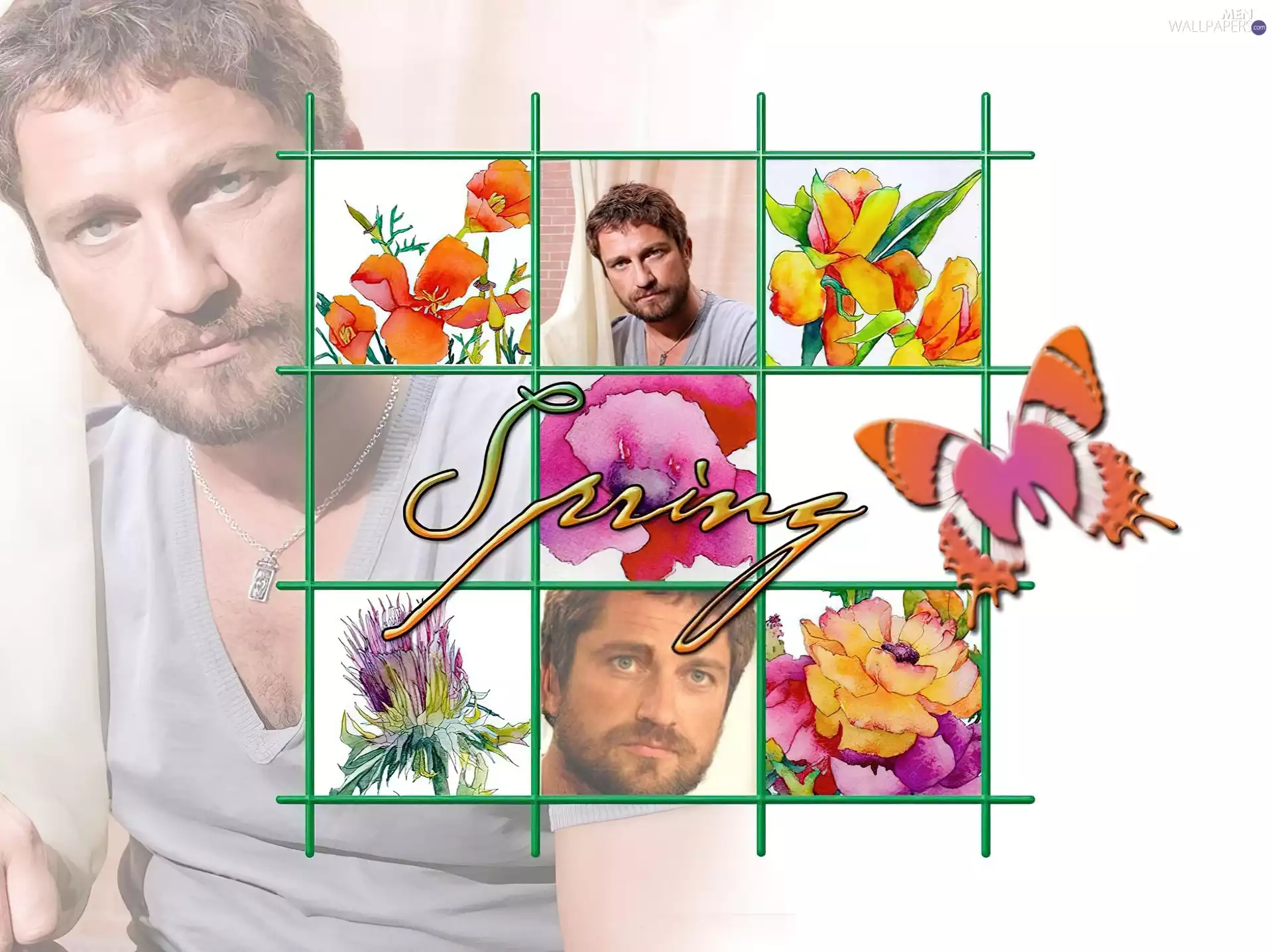butterfly, Gerard Butler, Spring