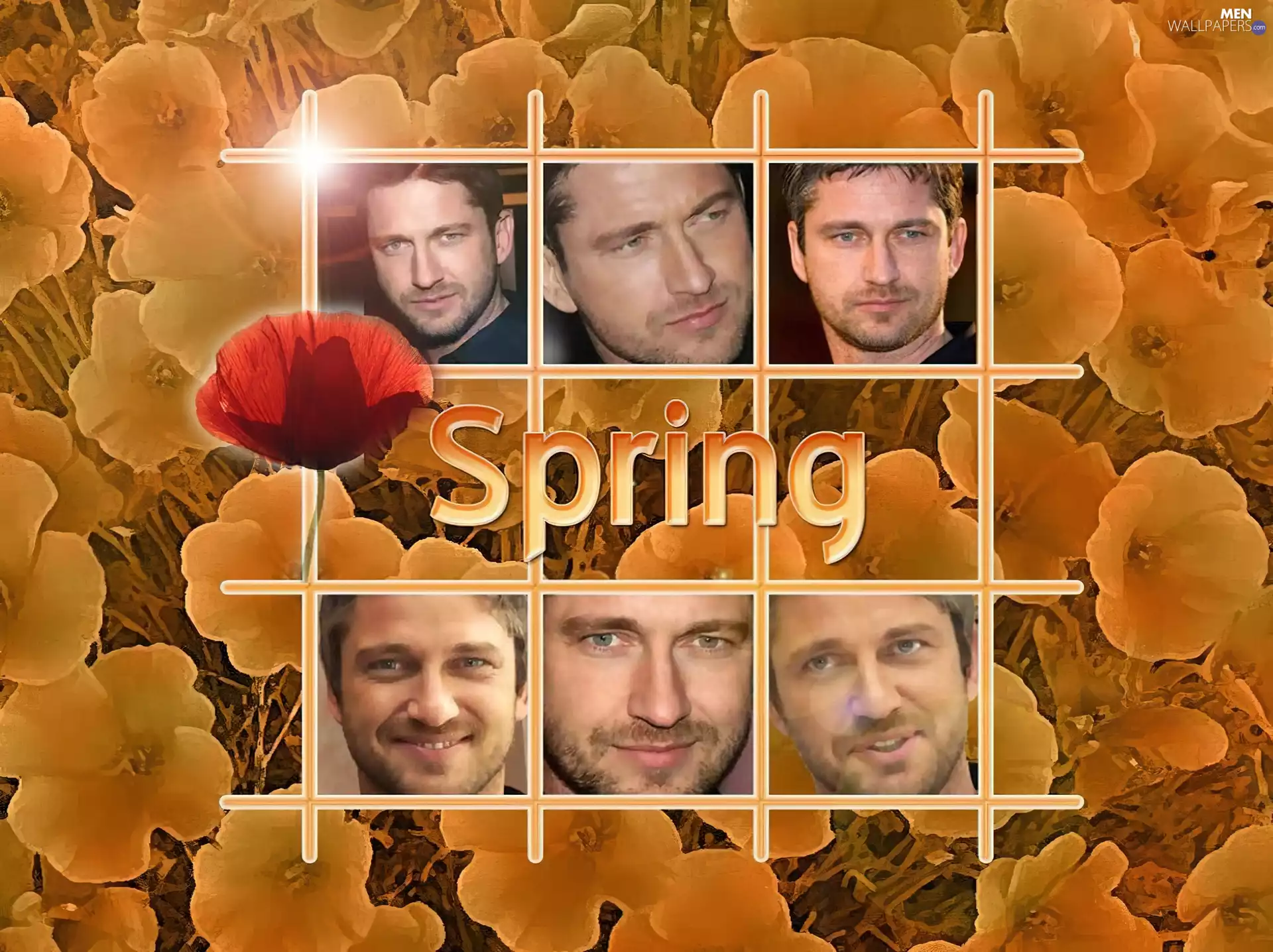 Flowers, Gerard Butler, Spring