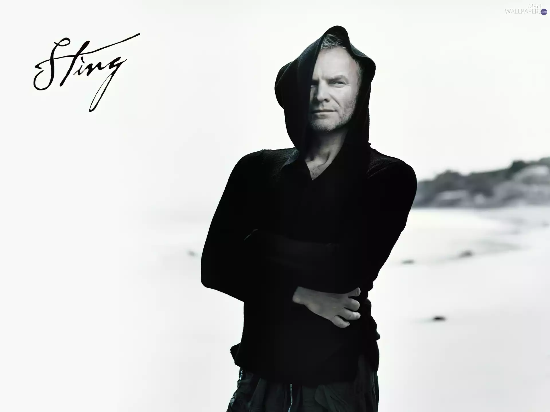 Sting, hood