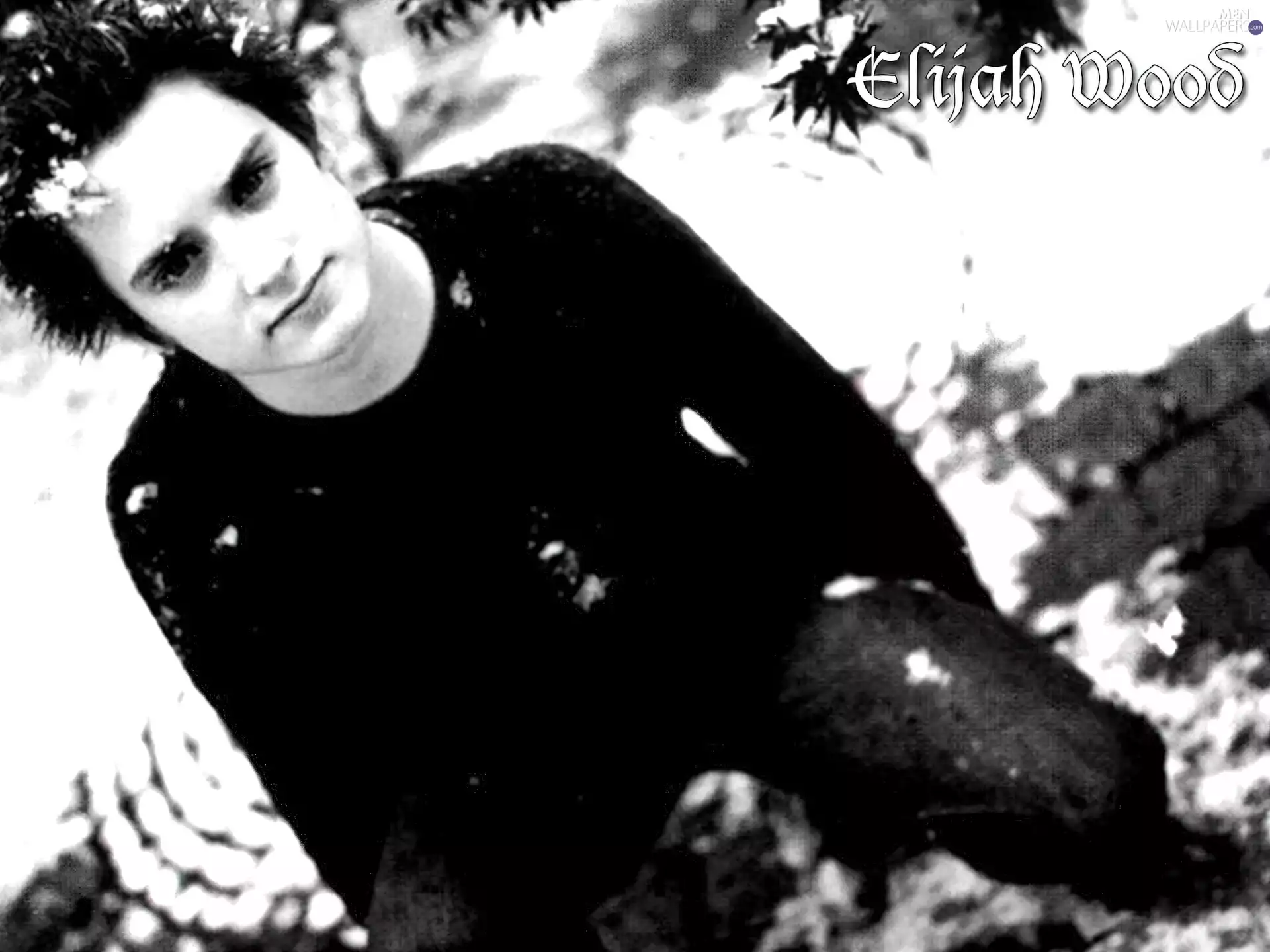 Elijah Wood, dark suit