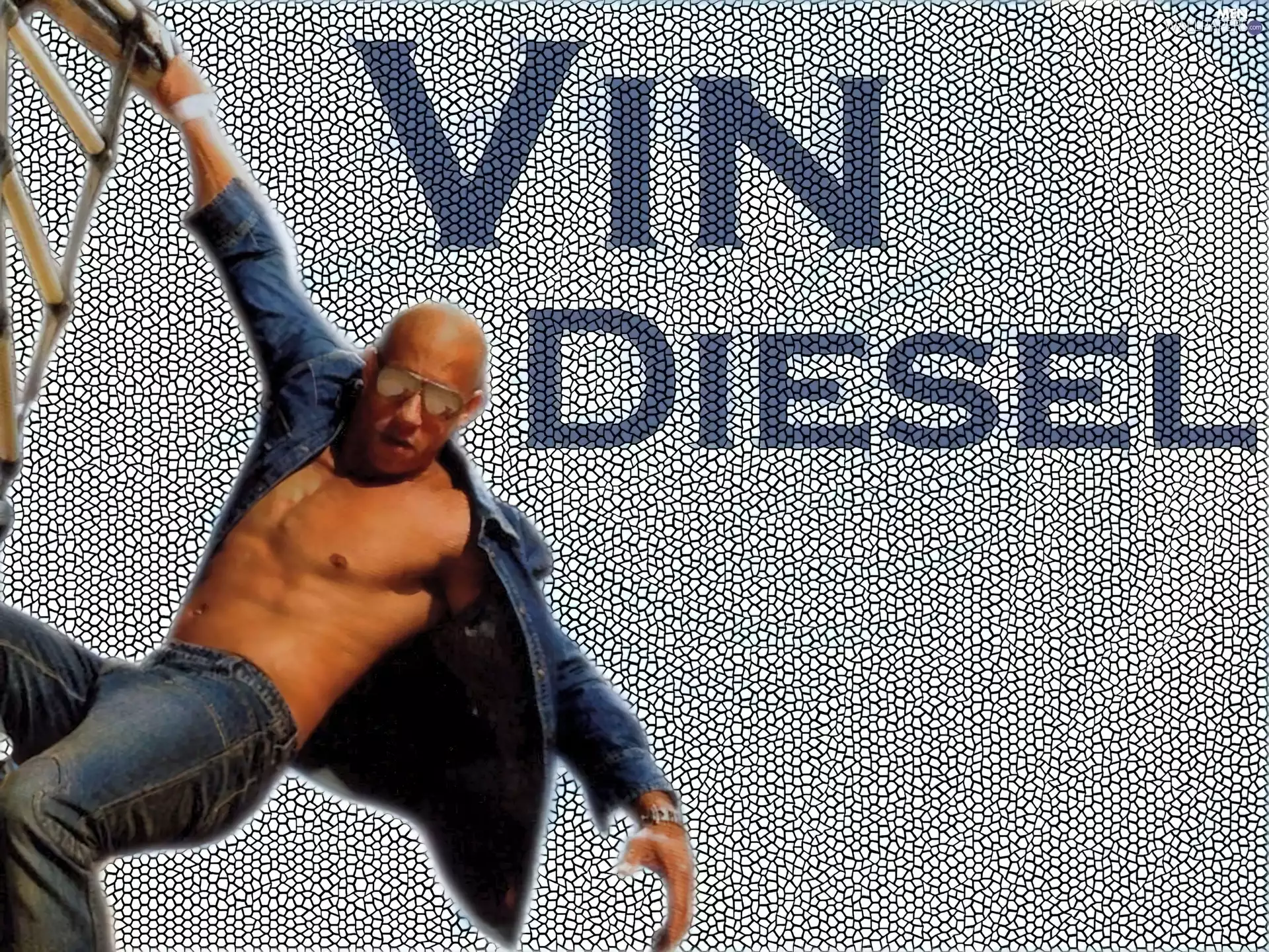 Vin Diesel, Glasses