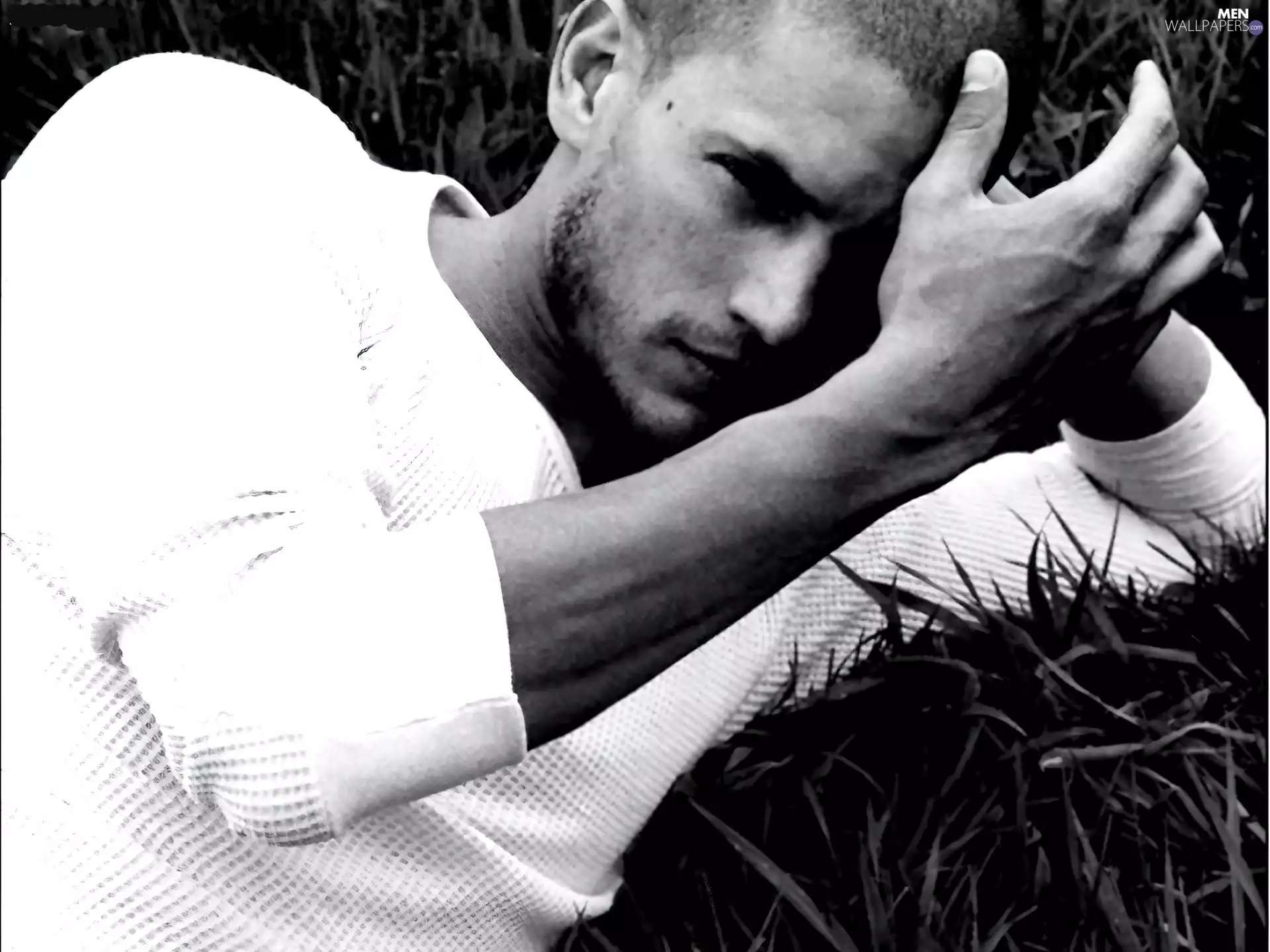 Wentworth Miller, grass