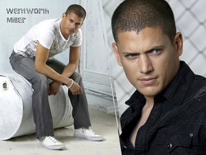 actor, Wentworth Miller