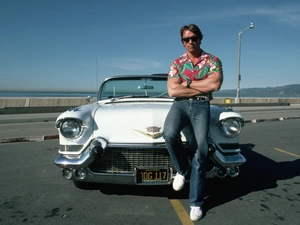 parking, Arnold Schwarzenegger, Automobile