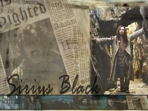 Gary Oldman, Sirius Black