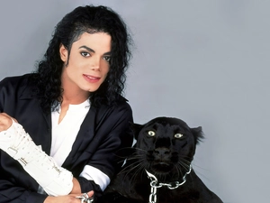 Panther, Michael Jackson, black