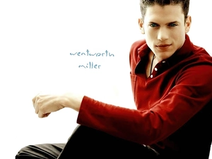 Wentworth Miller, Red blouse
