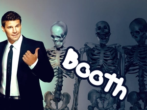 skeletons, David Boreanaz, bones, Bones, series