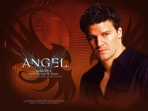 David Boreanaz, dark blue shirt