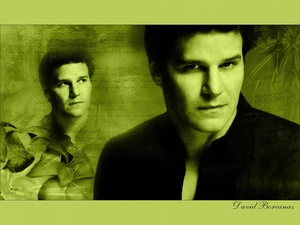 dark suit, David Boreanaz, Black hair