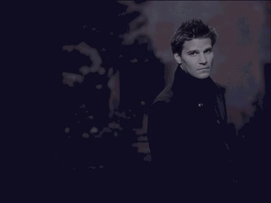 Light hair, David Boreanaz, dark suit