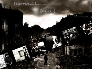 Adrien Brody, Town, film, destroyed