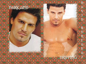 David Boreanaz, silver chain