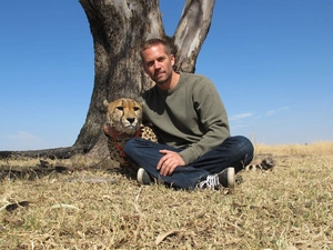 trees, Paul, Walker, Cheetah
