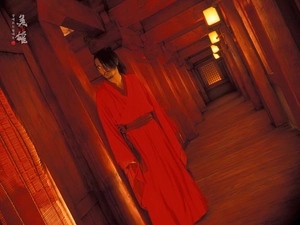 Hero, Tony Leung Chiu Wai, robe