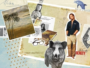 series, confused, Josh Holloway, lost