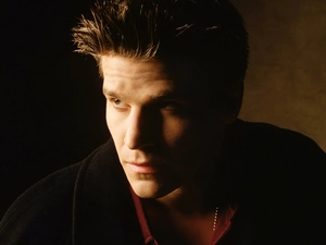 David Boreanaz, actor