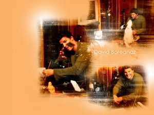 Guitar, David Boreanaz, dark hair