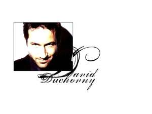 David Duchovny, face