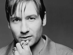 David Duchovny, signets