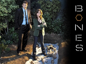 David Boreanaz, Emily Deschanel, Bones, bones, series