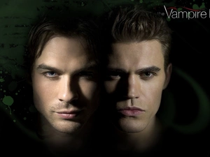ian somerhalder, Paul Wesley, The Vampire Diaries, The Vampire Diaries, brethren