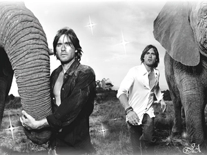 trumpet, Jared Leto, Elephant