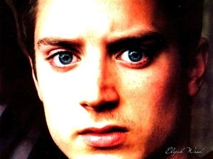 face, Elijah Wood, Blue eyes