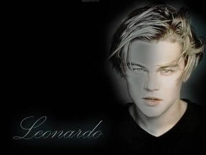 actor, Leonardo DiCaprio, excellent