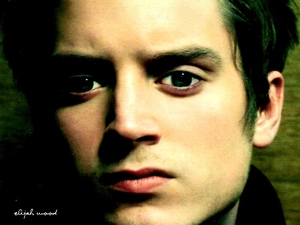 Green eyes, Elijah Wood, face
