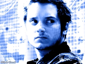 beard, Elijah Wood, face