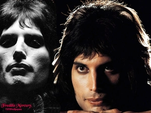 face, Freddie Mercury