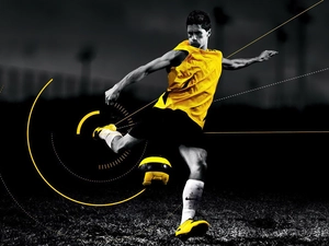 Fernando Torres, footballer