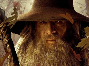 Leaf, Ian McKellen, Gandalf