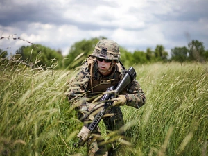 grass, soldier, Weapons